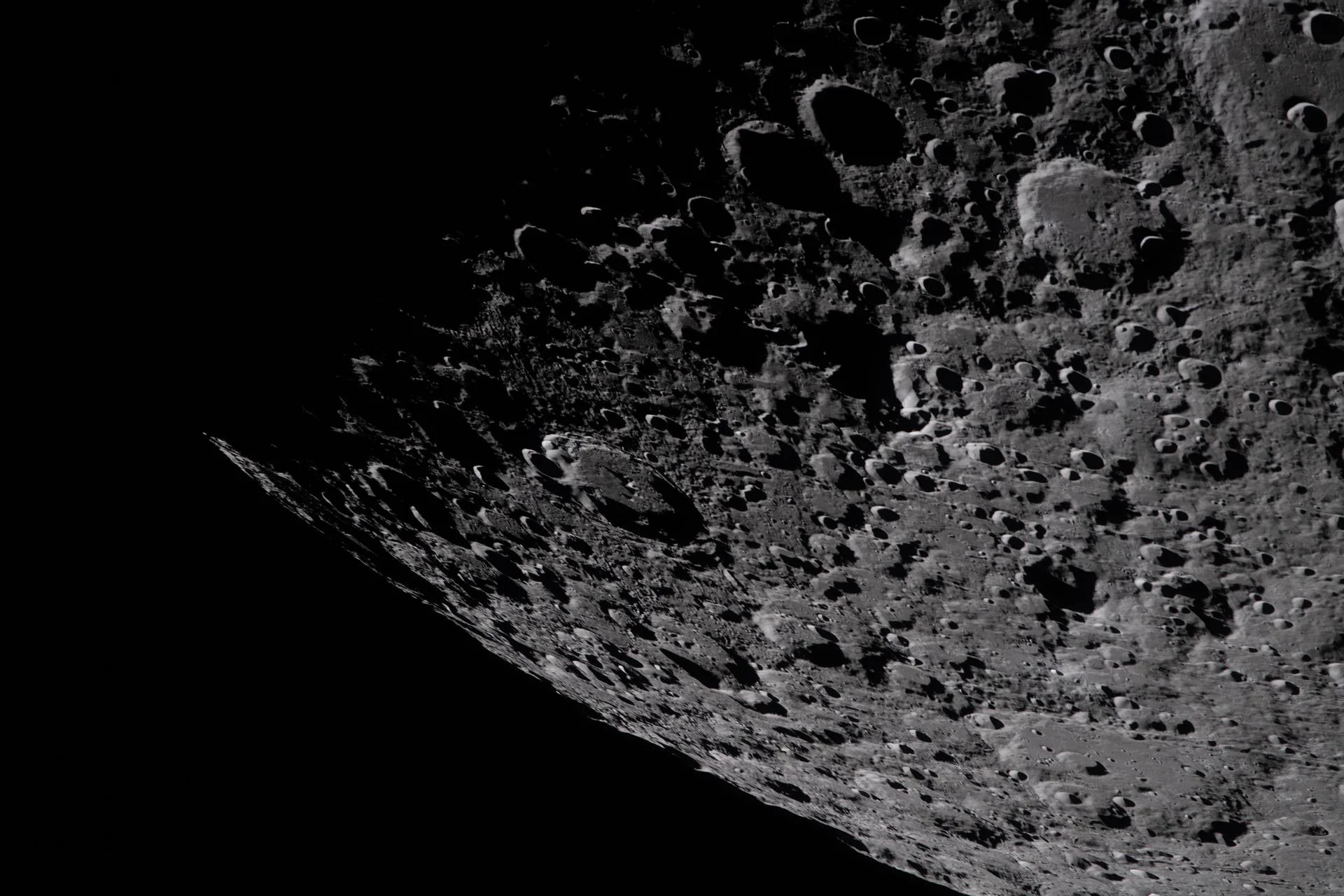 Earth Microbes Could Survive on the Moon, Raising Contamination Fears Ahead of Artemis